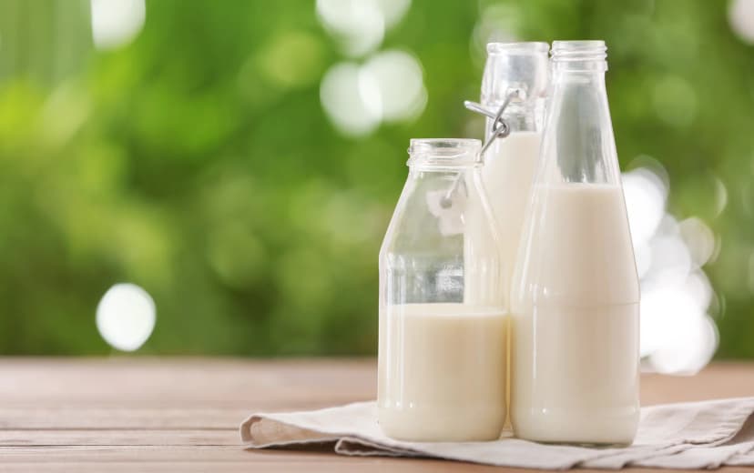 Front view of three milk glass bottles with greenery in the background