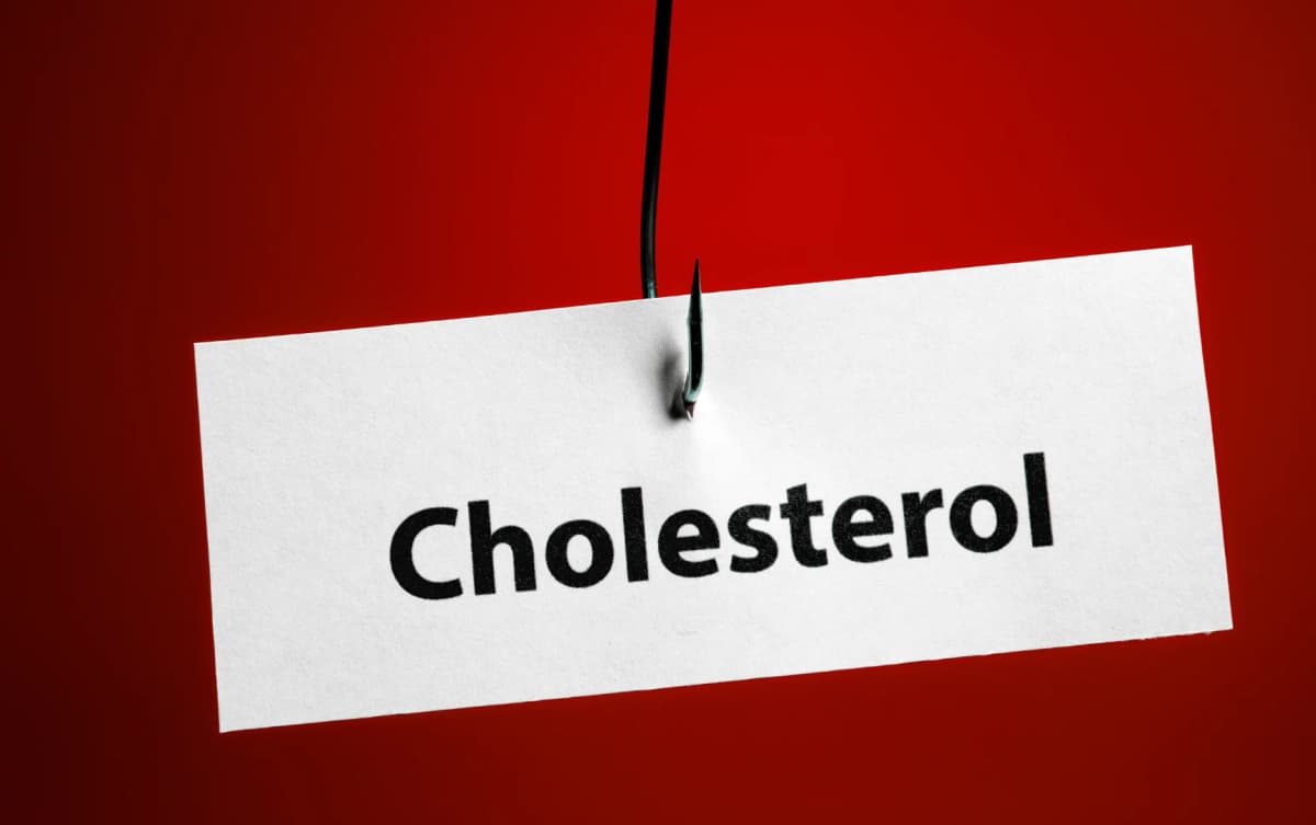 Piece of paper labeled 'Cholesterol' hooked by a fishing hook, symbolizing danger or risk, on a red background.