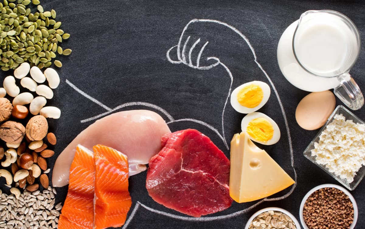 Protein High-Protein Foods for Muscle Growth – Eggs, Chicken, Fish, Milk, Nuts
